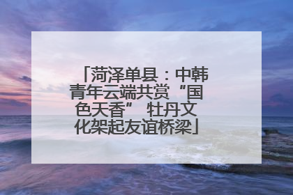 菏泽单县：中韩青年云端共赏“国色天香” 牡丹文化架起友谊桥梁